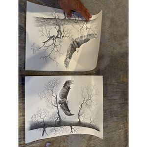 2 Unframed 1992 And 1995 ART PRINT S/N James P. Townsend BALD EAGLE in FLIGHT